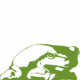 Frosch